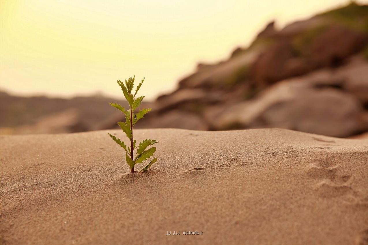 تغییر آب وهوای نیمکره شمالی زمین با سبزشدن صحرای بزرگ آفریقا